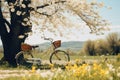 A bike parked next to a tree in a beautiful field under a clear blue sky, A leisurely Mother Day bicycle ride in the